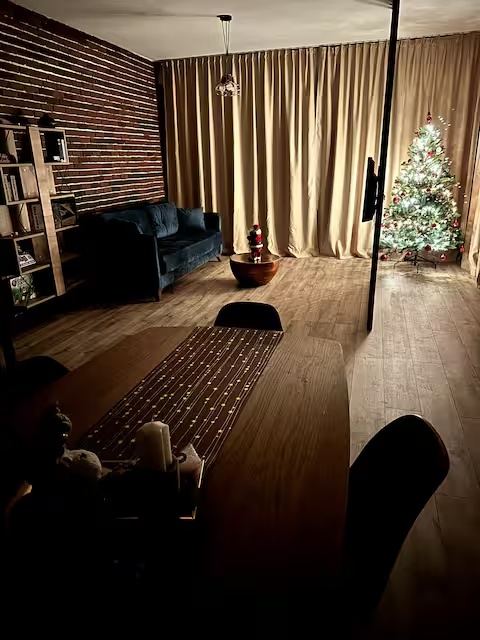 Camera de zi